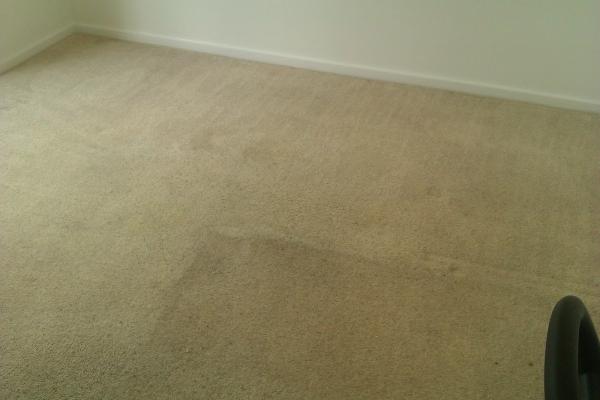 Abbey Carpet Cleaning