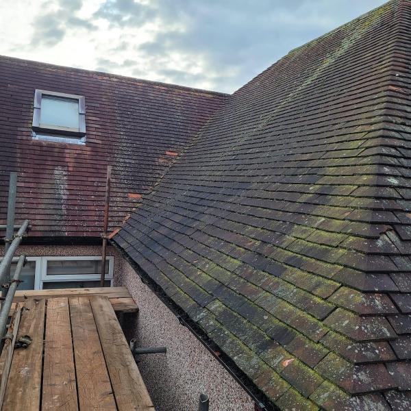 Standard Roofing