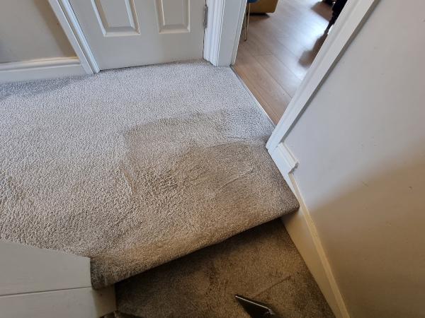 Emsleys Carpet Cleaning