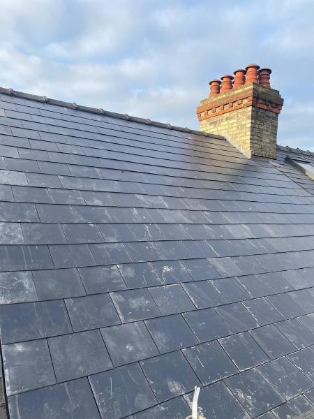 Alpha Roofing Ltd