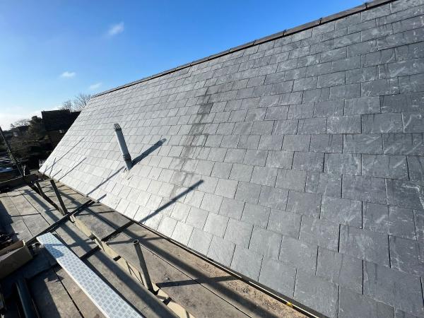 Delta Roofing Sussex