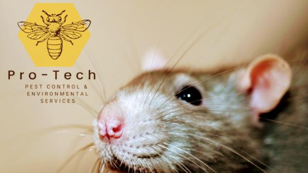 Pro-Tech Pest Control & Environmental Services