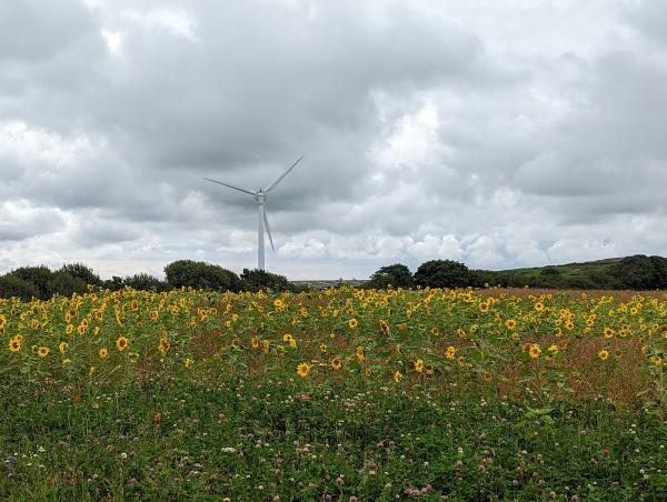 CWM Environmental Waste Management Facility