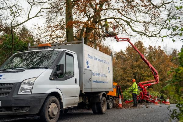 Foxes Tree Services & Son Ltd