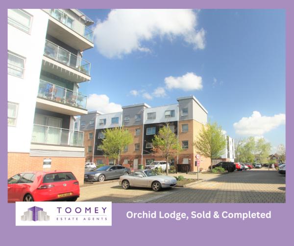 Toomey Estate Agents