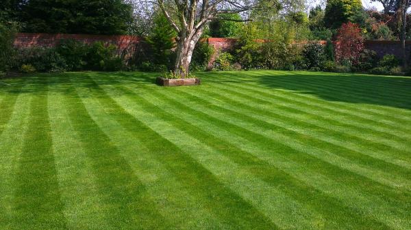 Sharpes Lawn Care