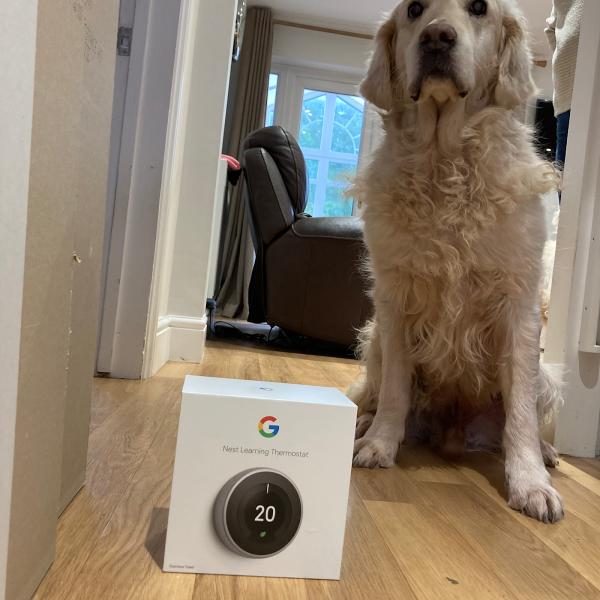 Nest Pro London