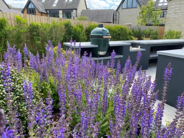 Nuttgens Garden Design