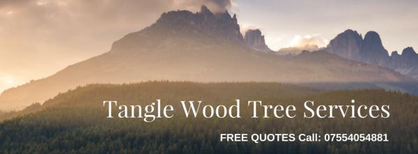 Tangle Wood Tree Service