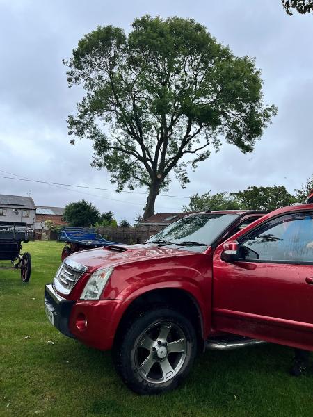 Angus McNiff Tree Services
