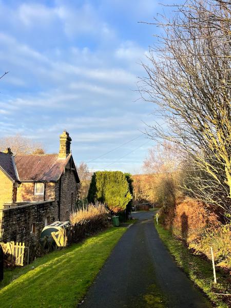 Angus McNiff Tree Services