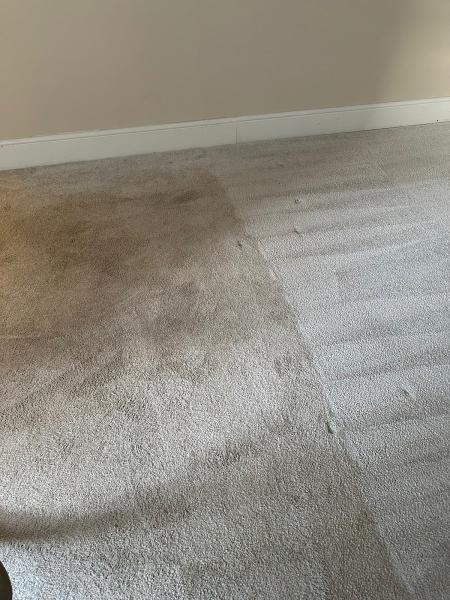 Perfect Clean Carpet & Upholstery Cleaning