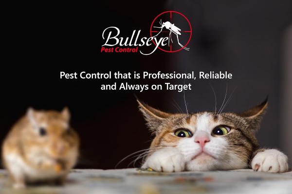 Bullseye Pest Control