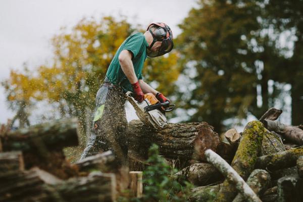 Tree Maintenance Ltd.