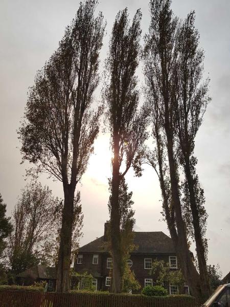 G W Grounds Maintenance Ltd