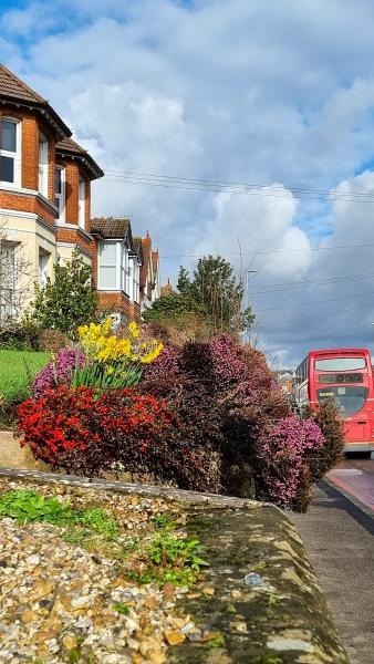 A Griffin & Sons Removals and Storage East Sussex