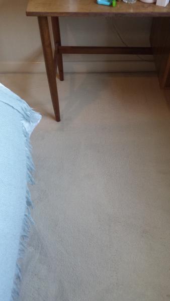 TWH Carpet Cleaning