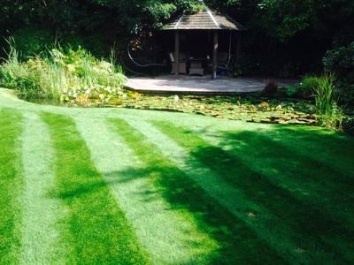 Bentley Garden Services