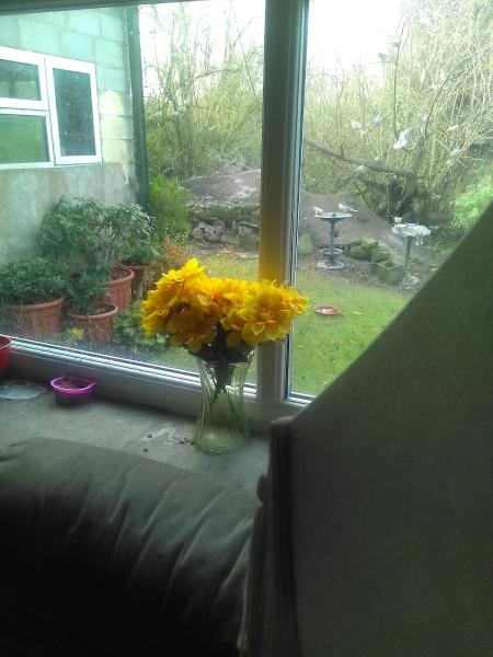 Greg Saberton Design