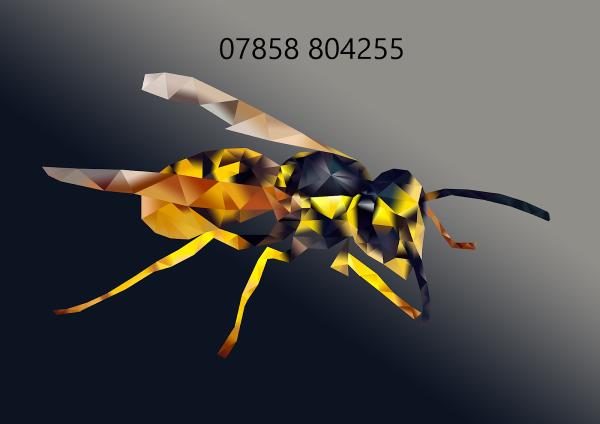 Help Me Pest Control Ltd