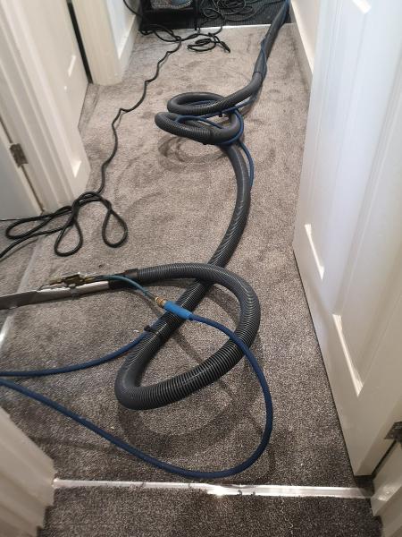 Carpet Cleaning Wakefield