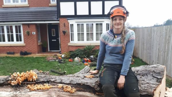 Sabre Tree Surgery. Tree and Hedge Cutting in Stockport