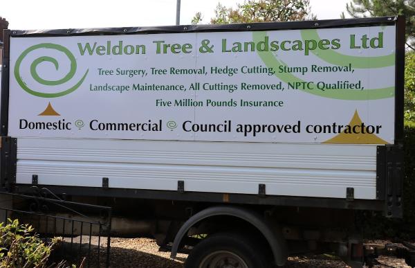 Weldon Tree Surgery & Tree Work