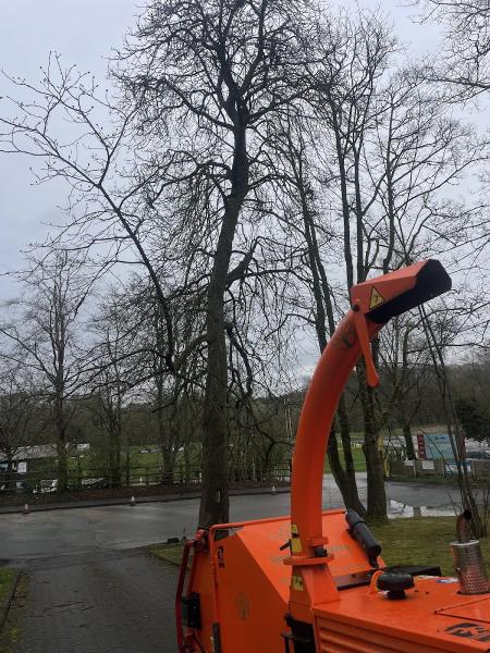 Bostock Total Tree Services