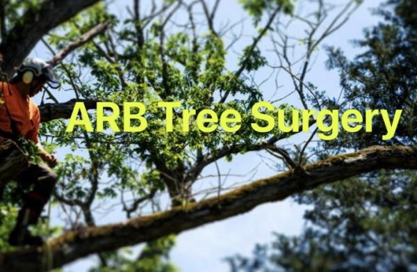 ARB Tree Surgery