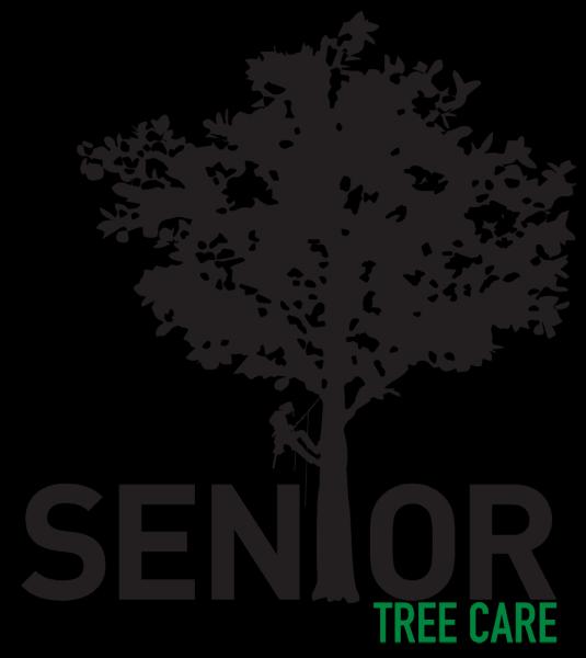 Senior Tree Care