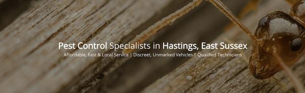 GB Pest Control: Pest Control Hastings