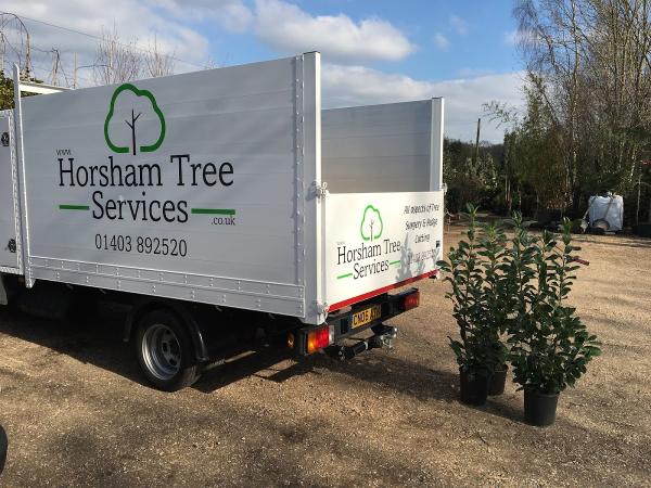 Horsham Tree Services