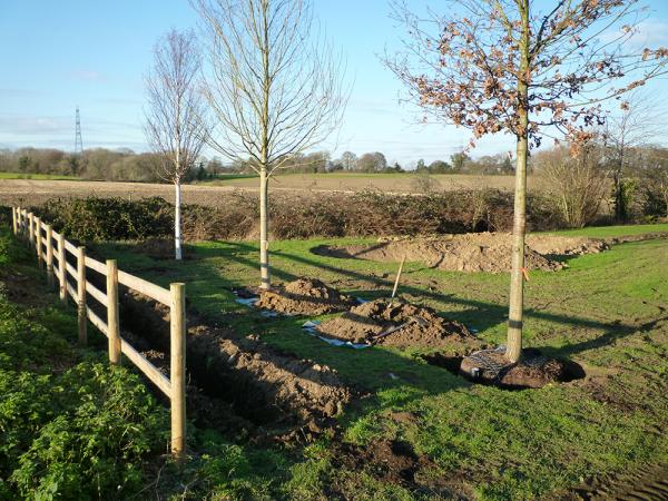 Earthworm Landscapes