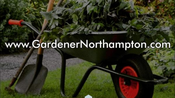 Gardener Northampton