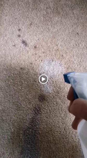 MM Carpet Care