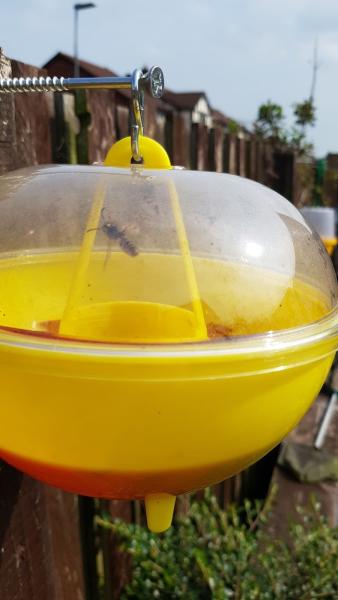 Every Season Pest Control