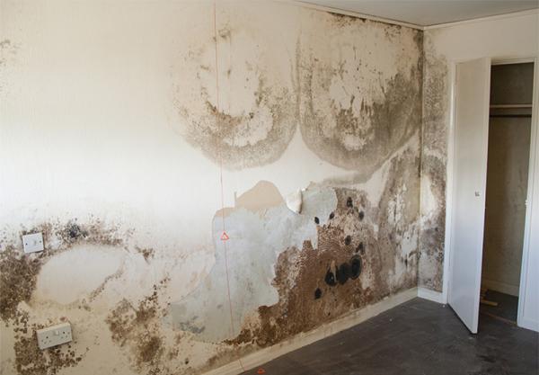Thermadry Damp Proofing