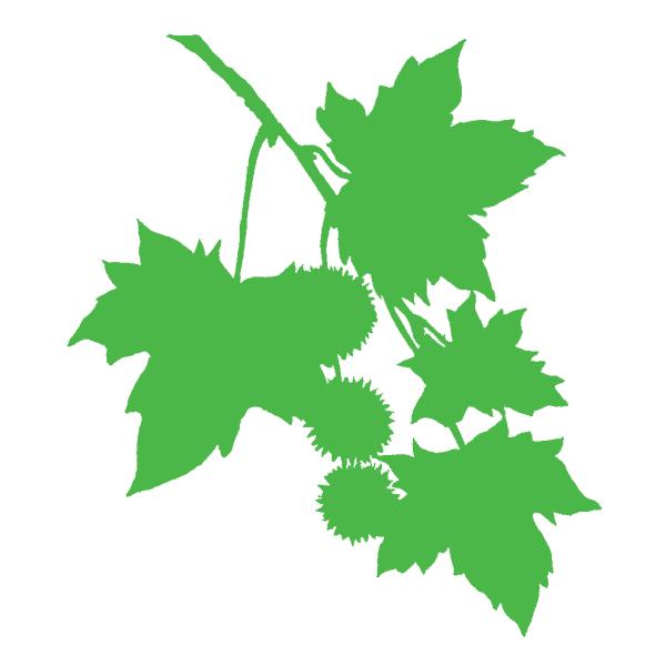 Plane Arboriculture Limited