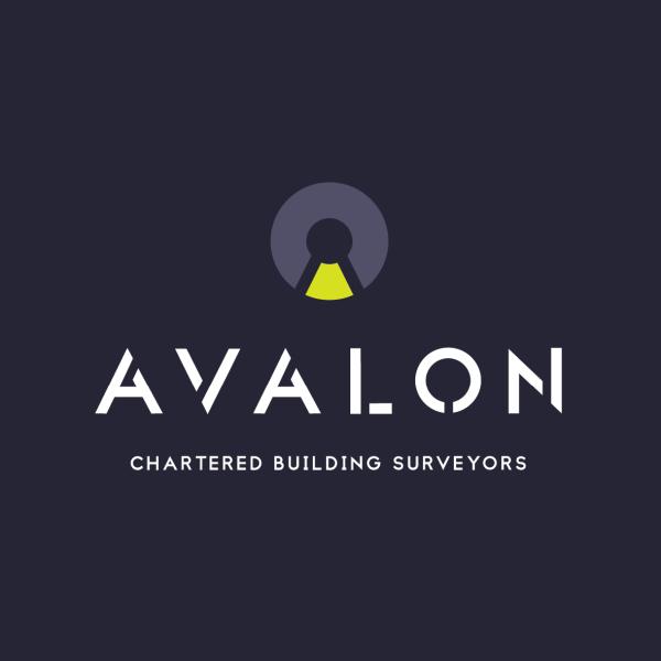 Avalon Surveyors