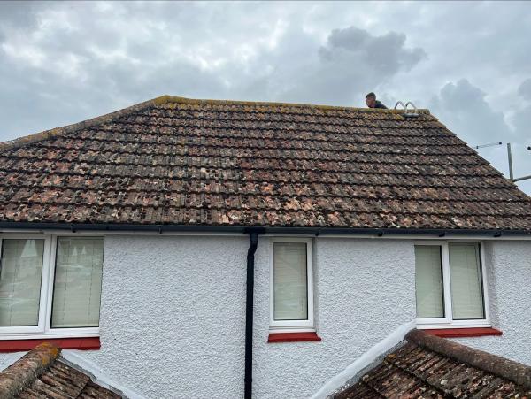 Homes Behaving Badly- Cleaning Ovens Windows Carpets Homes