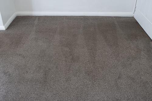 Specialist Carpet Care