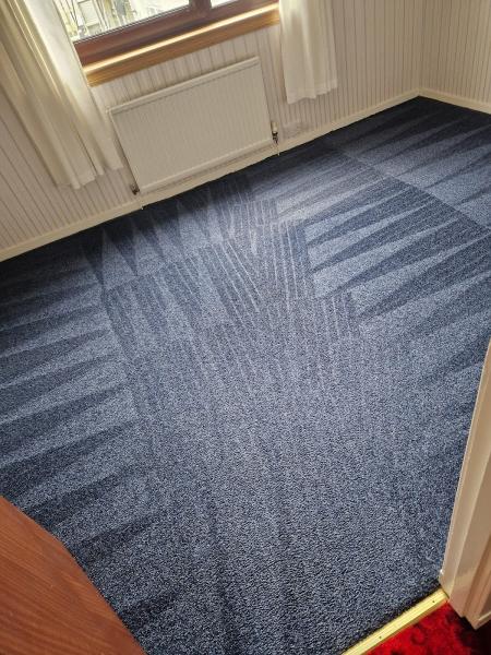 Discount Carpet & Upholstery Cleaning