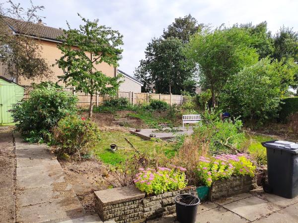 Springwood Tree Services Ltd