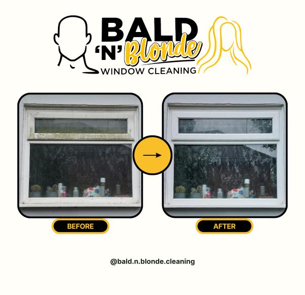 Bald 'N' Blonde Window Cleaning