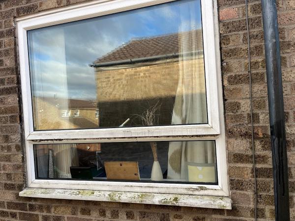 PM Window & Gutter Cleaning