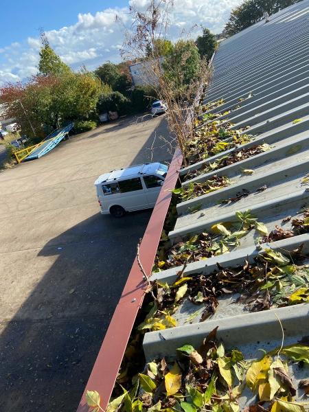 PM Window & Gutter Cleaning