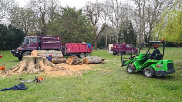 Landmark Tree Surgery