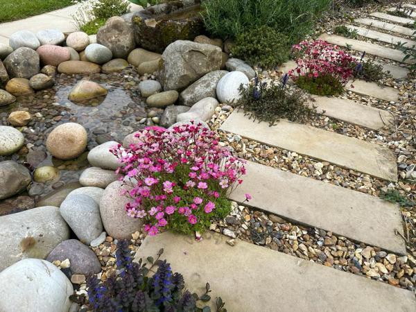 Lucy Frank Garden Design & Landscaping Ltd