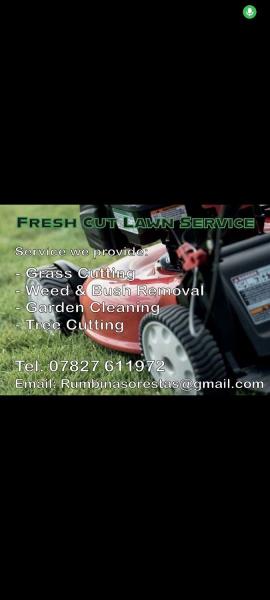 Fresh Cut Lawn Service