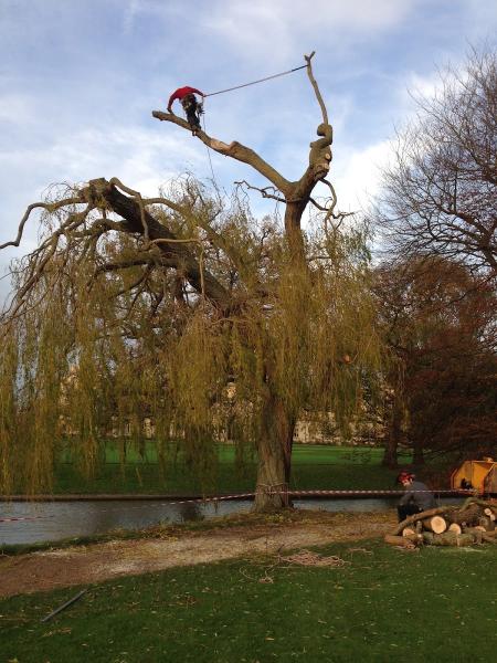 Eastern Landscape Service Ltd